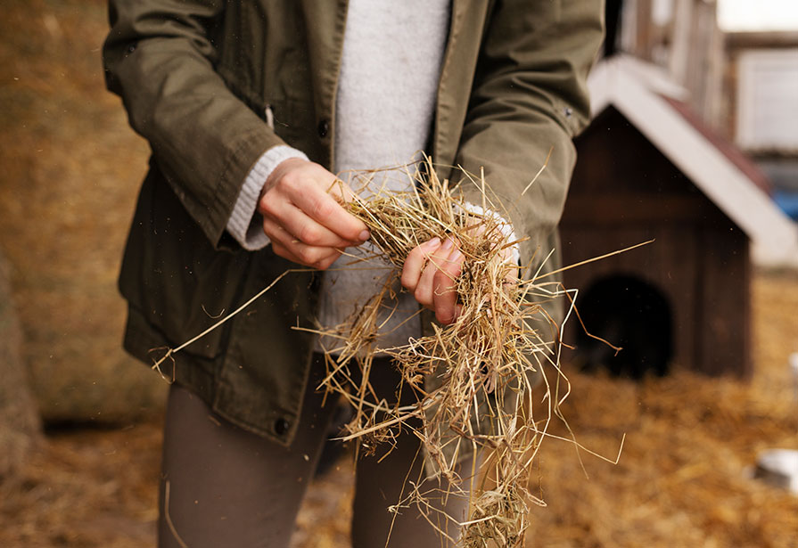 Farmer handling straw