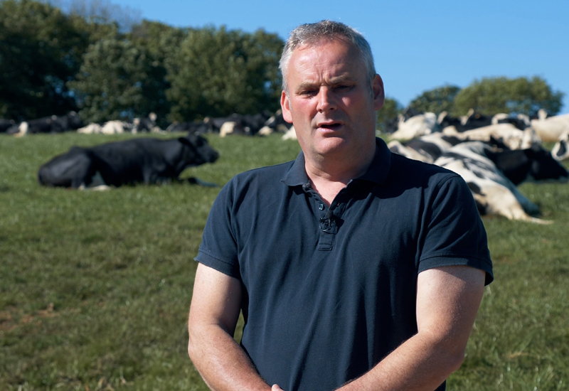 Erhaltung des Butterfetts